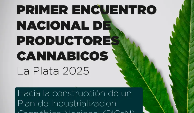 imagen del articulo