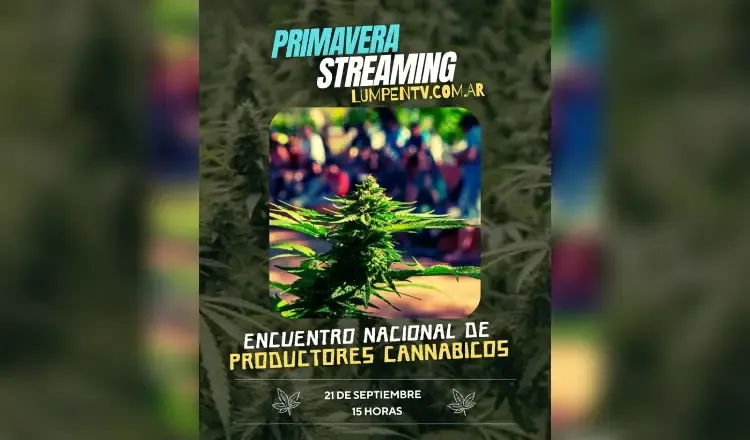 imagen del articulo